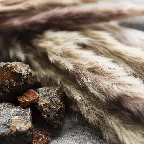 Modern Musk Candle 17oz